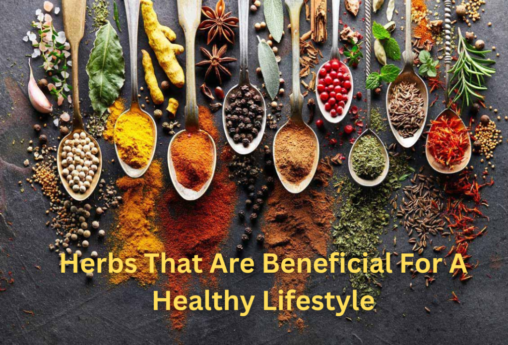 Herbs That Are Beneficial For A Healthy Lifestyle