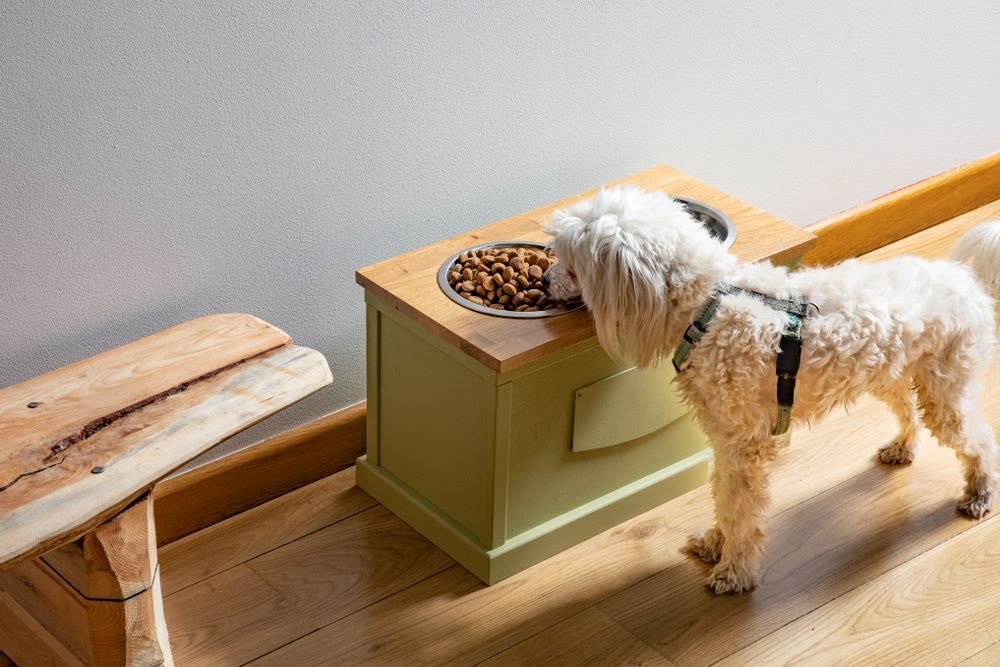 buy dog products sydney