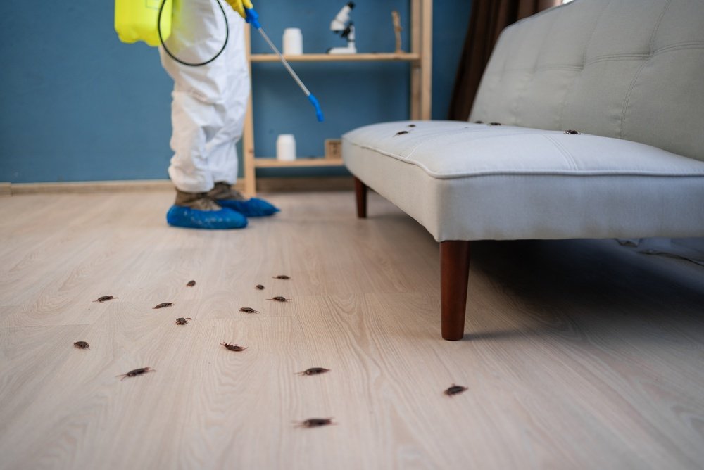 pest control